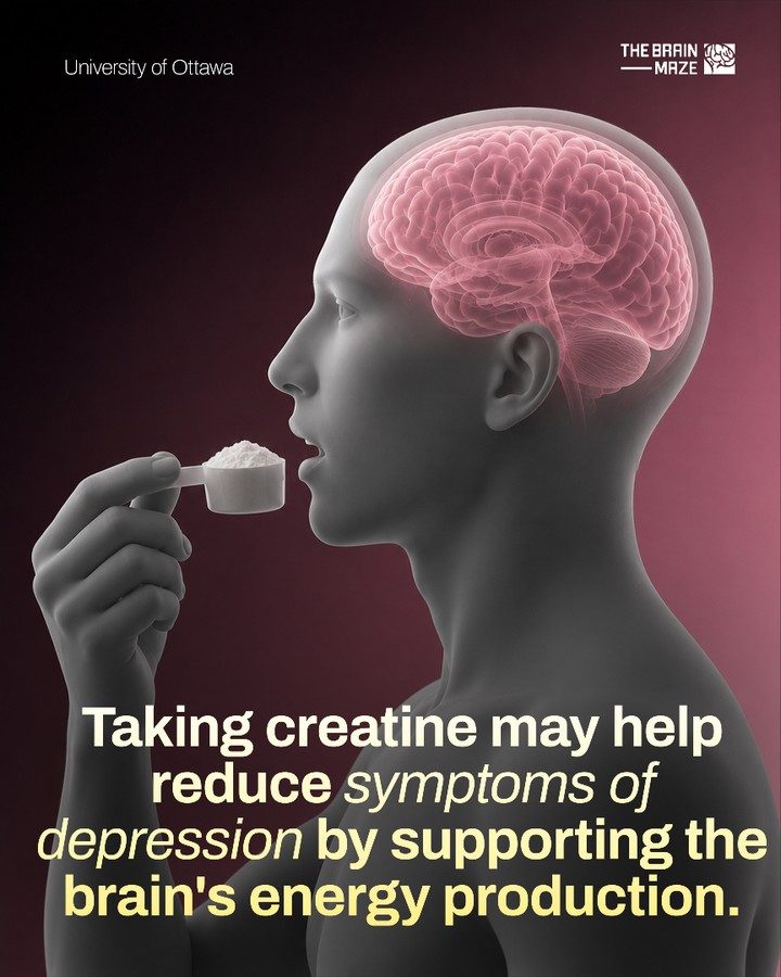 Creatine: Potential Depression Treatment