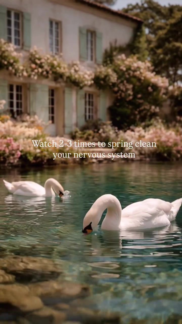 Spring Cleaning: Renew Your Home and Mind
