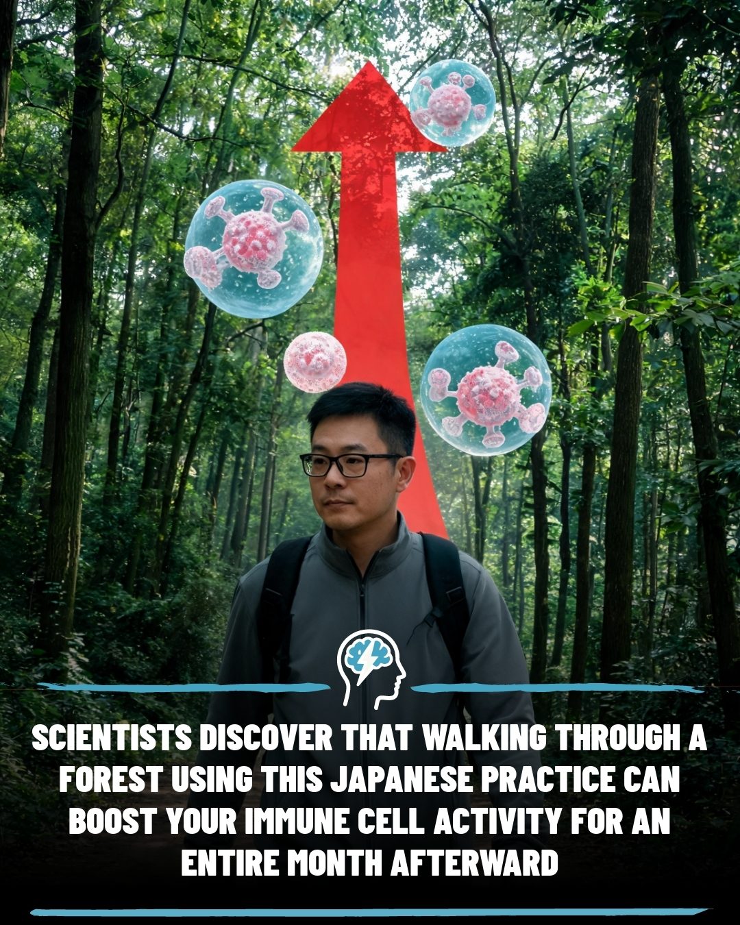 Forests Boost Immunity: Japanese Shinrin Yoku