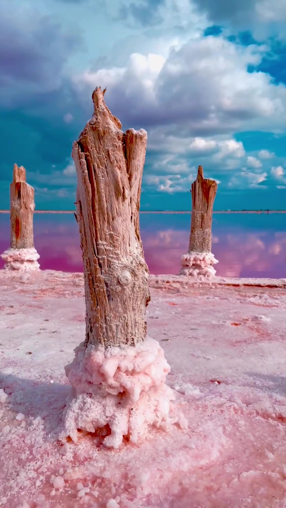 Sasyk-Sivash Pink Salt Lake Landscape in Crimea