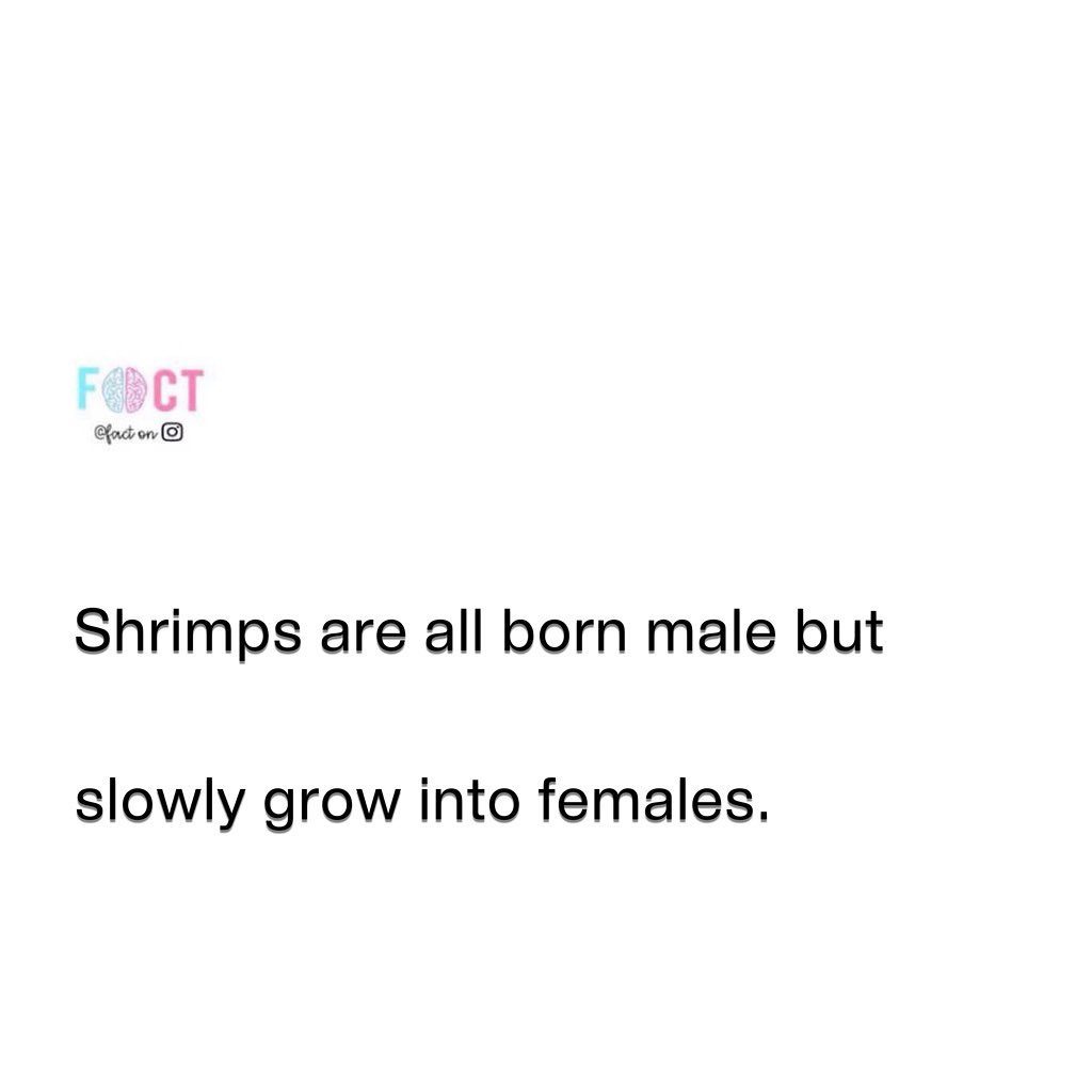 Shrimp's Remarkable Journey: Born Male, Transition to Female