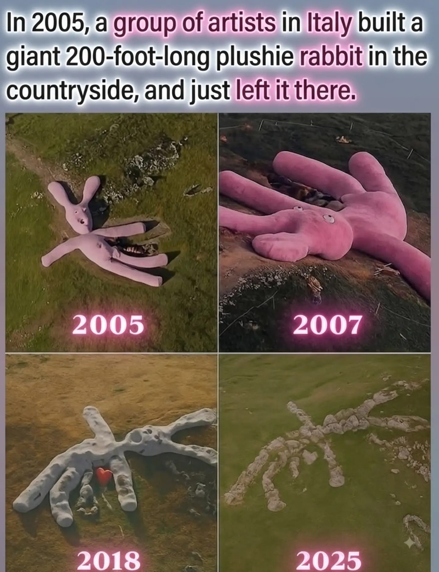 The Decay of Hase: A Giant Rabbit's Journey in Italy