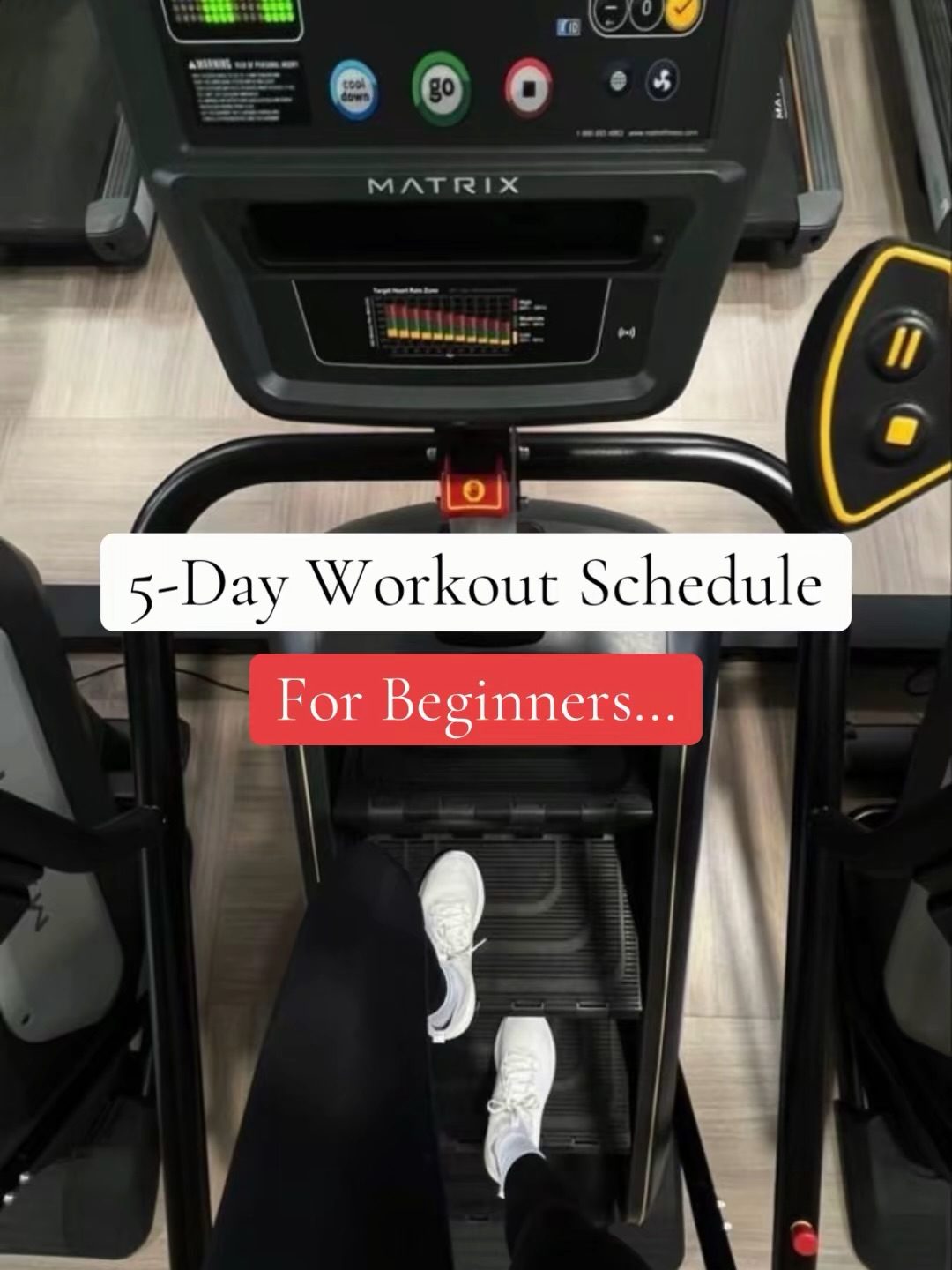 5-Day Beginner Workout Plan for Gym Newbies