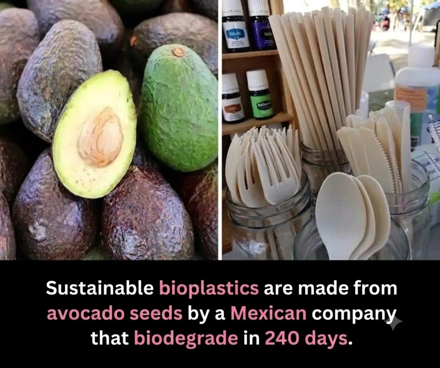 Avocado Seed Bioplastics: A Mexican Innovation