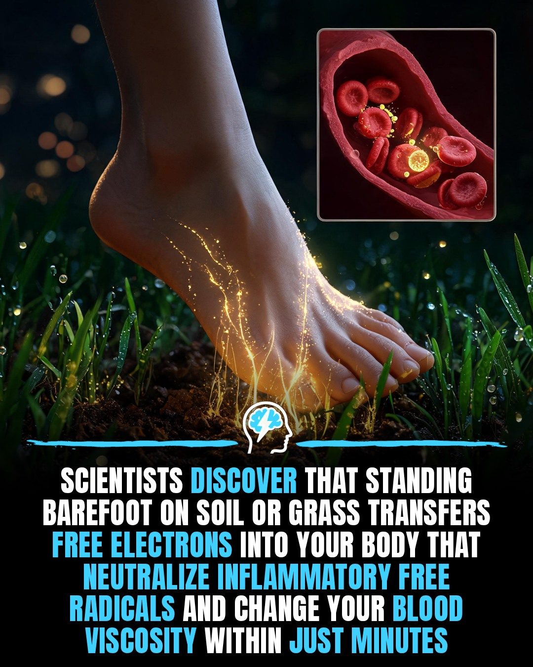 **Discover the Health Benefits of Grounding: Standing Barefoot on Earth**