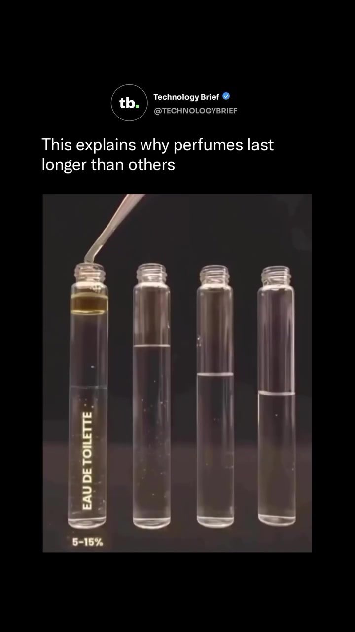 How Long Different Perfume Types Last