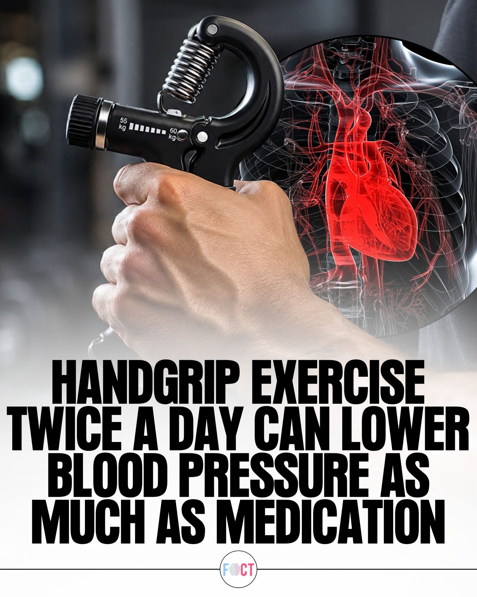 Lowering Blood Pressure with Hand Grip Exercises