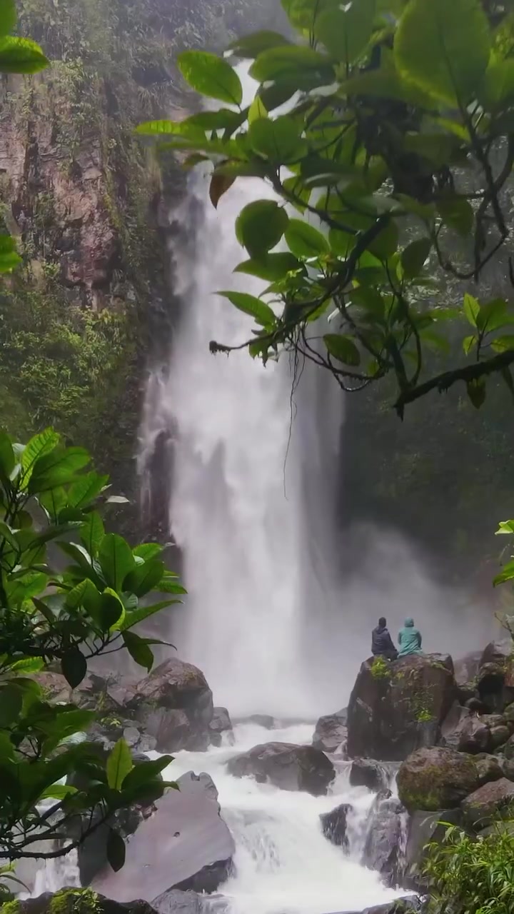 Tropical Islands and Mountain Landscapes