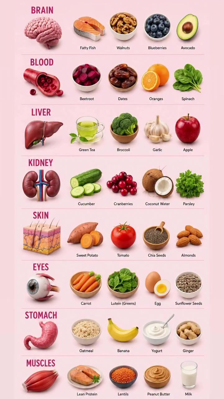 Top Foods to Support Each Body Organ