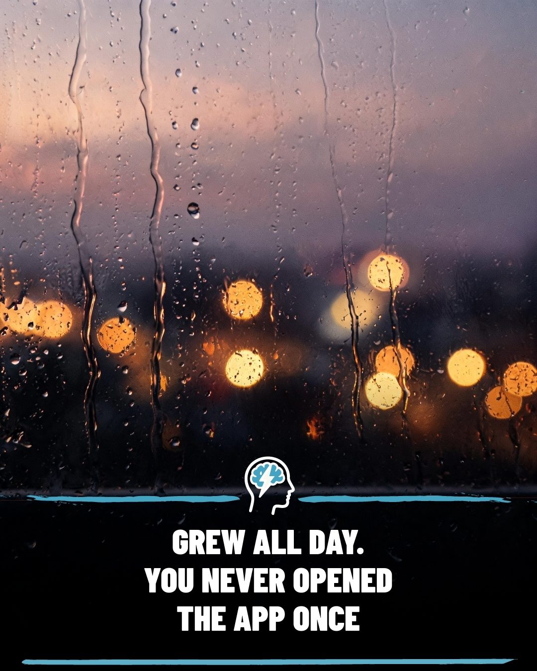 **Rainy Day Reflection: Social Media Growth Without Engagement?**
