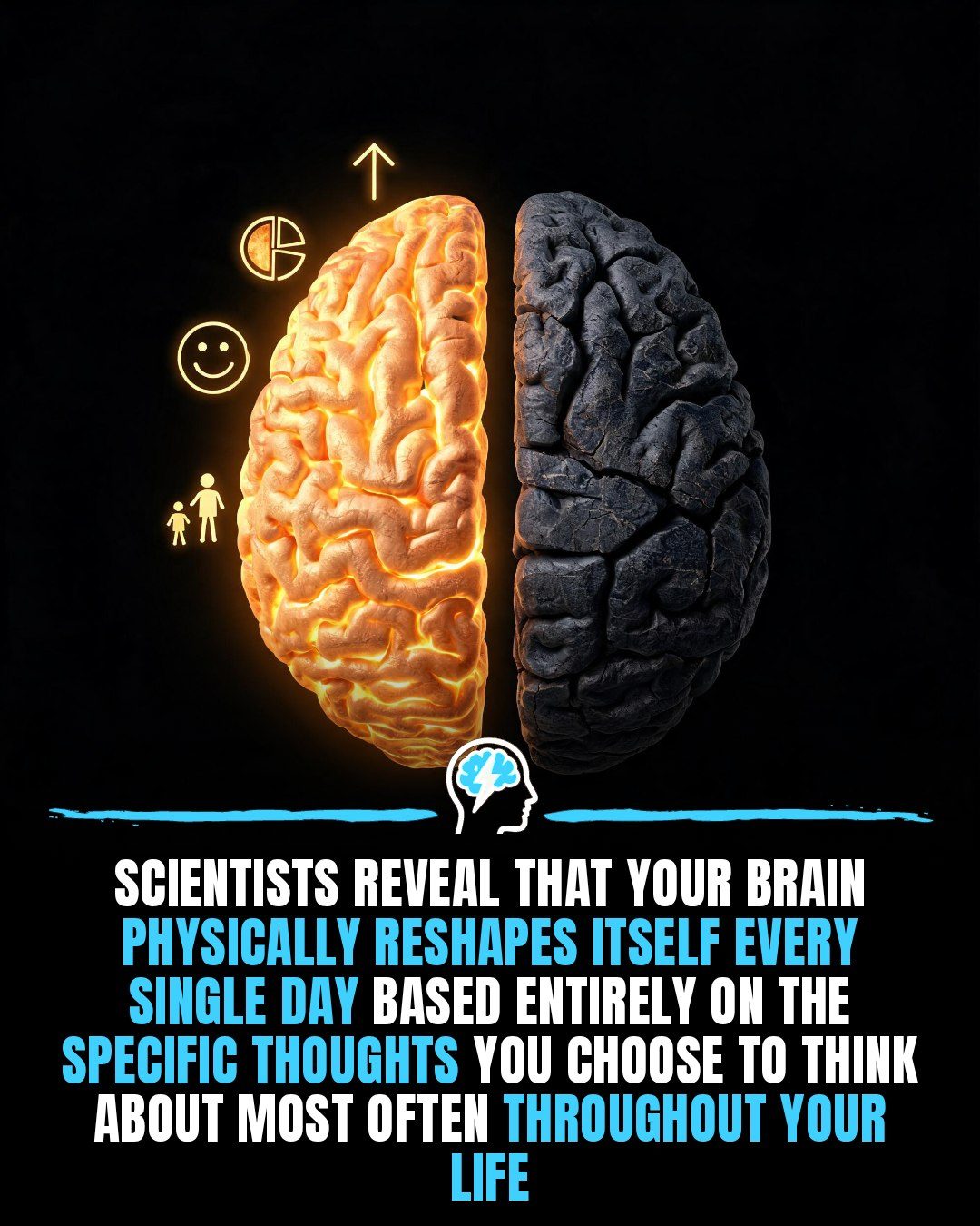 Harnessing Neuroplasticity: How Your Thoughts Shape Your Brain