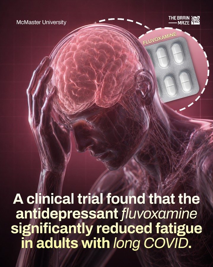 Fluvoxamine Shows Promise in Treating Long COVID Fatigue