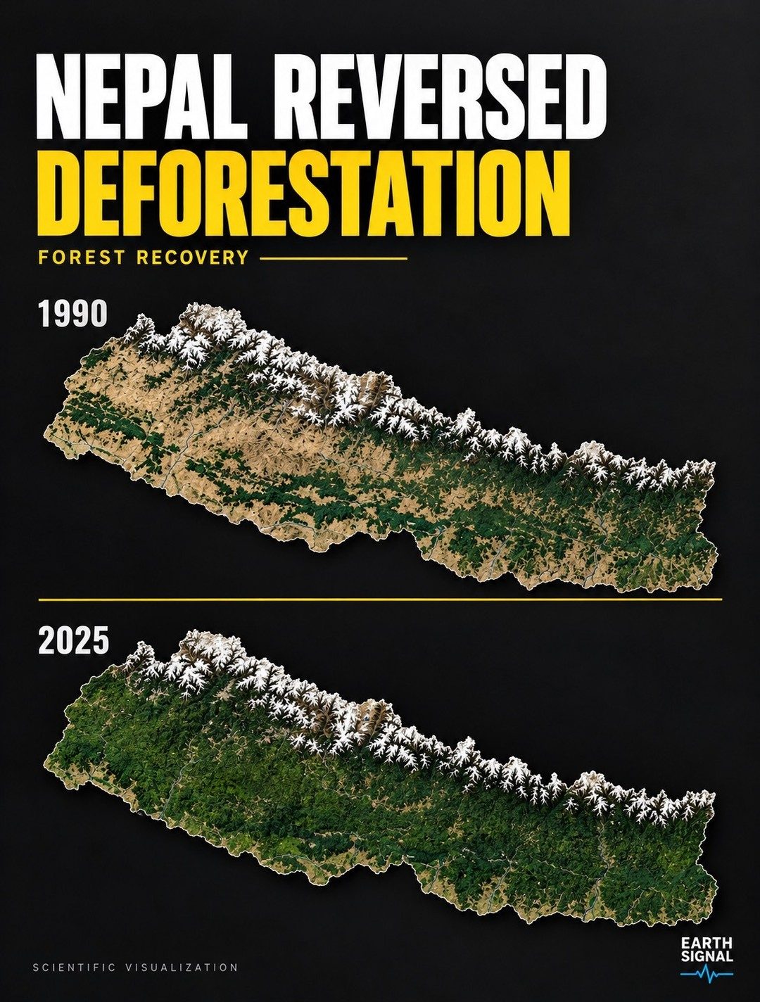 Nepal's Forest Recovery: 1990-2025 Visualization