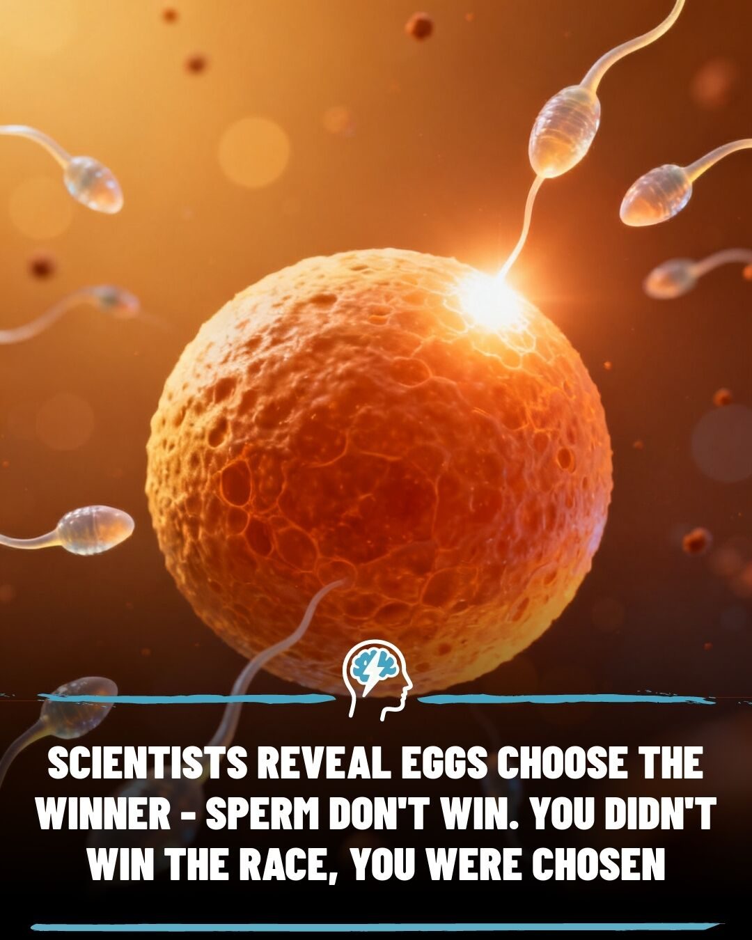 Eggs' Active Role in Selecting Sperm: Redefining Conception