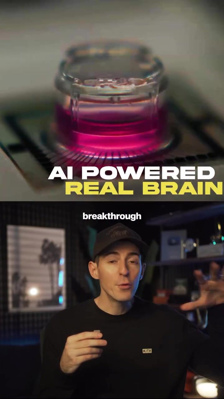 The Future of Computing: Biocomputing with Human Brain Cells