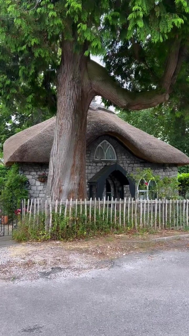 Exploring the Charming Allure of a Whimsical Thatched Cottage