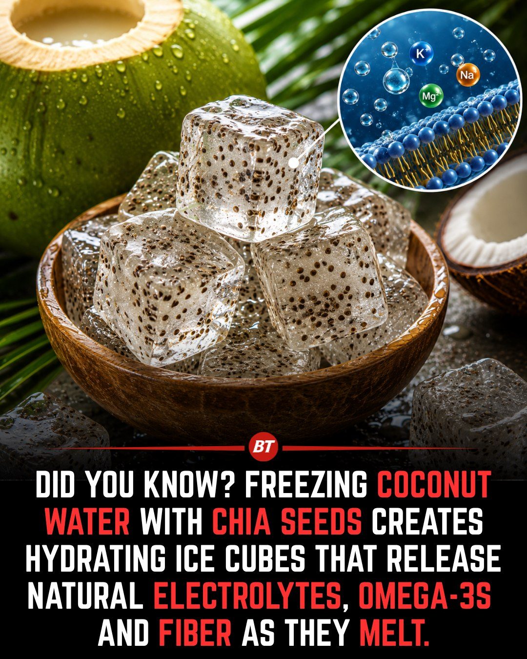 Coconut Water & Chia Ice Cubes: Hydrate with Electrolytes