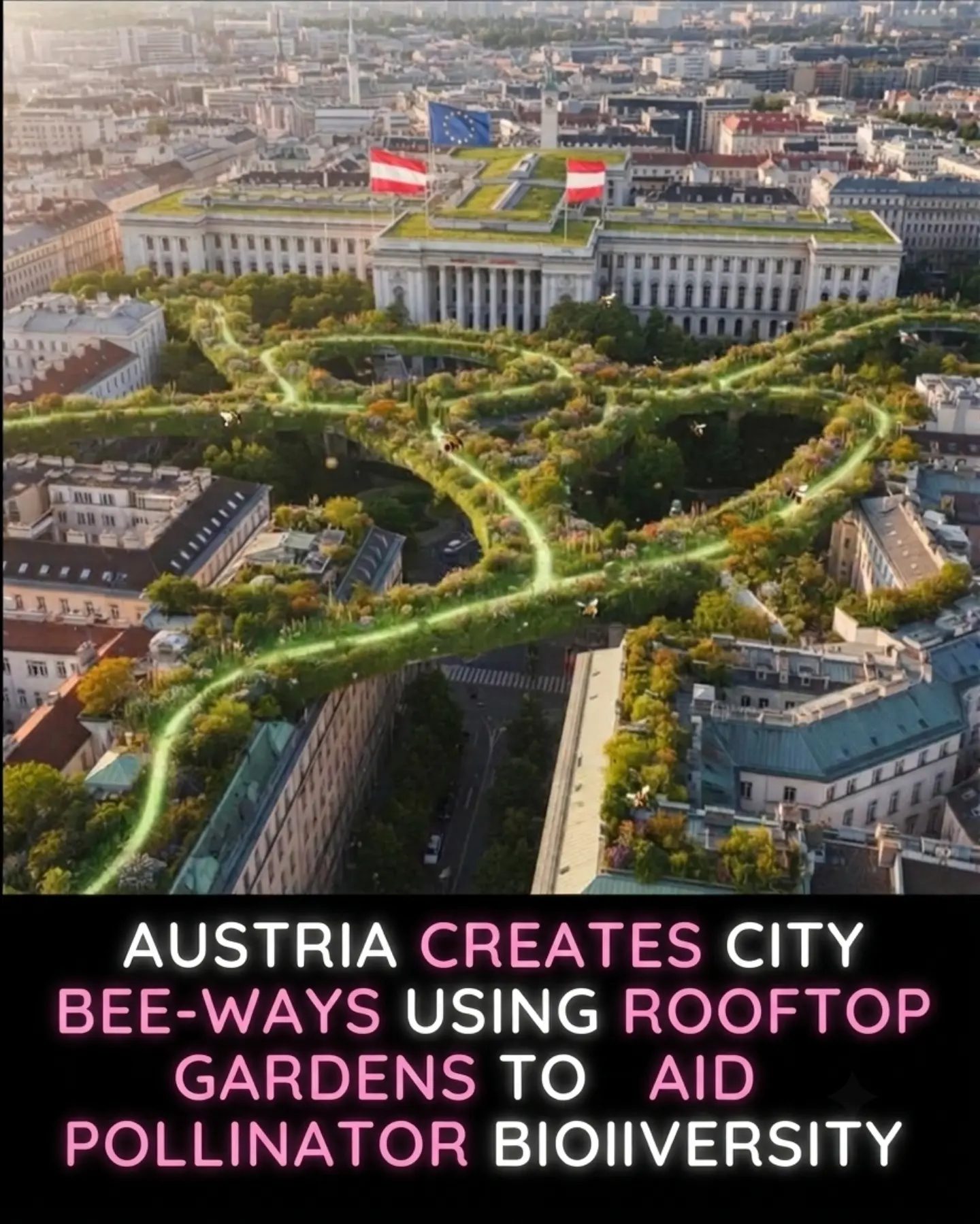 Vienna's Bee-Friendly Rooftops Boost Urban Pollinator Diversity