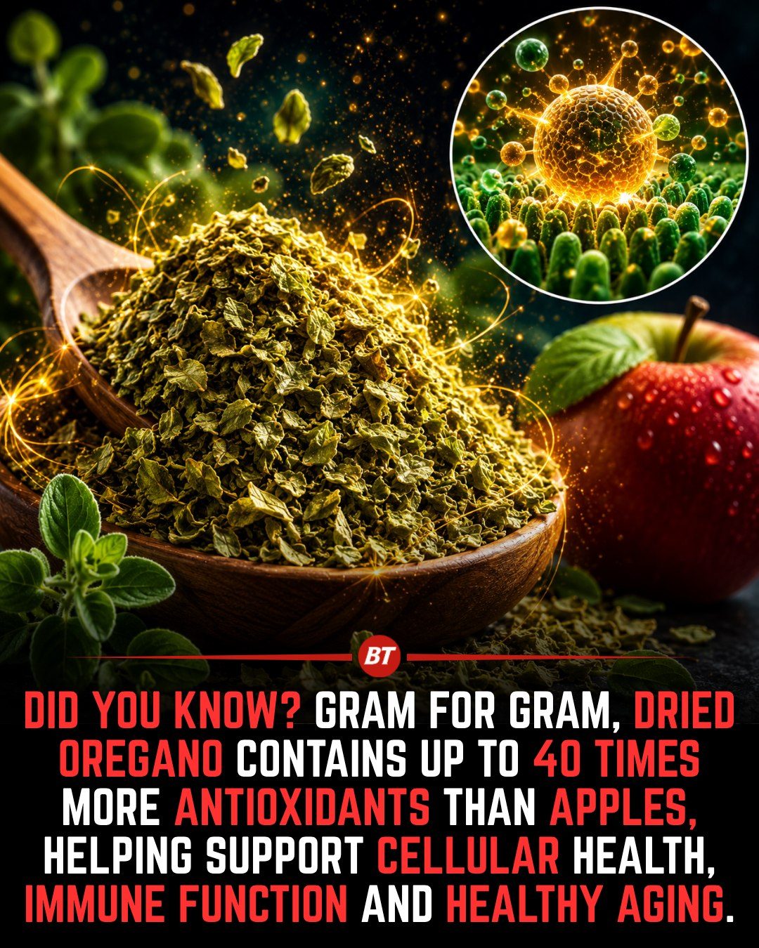 Oregano: A Powerful Antioxidant Source for Health
