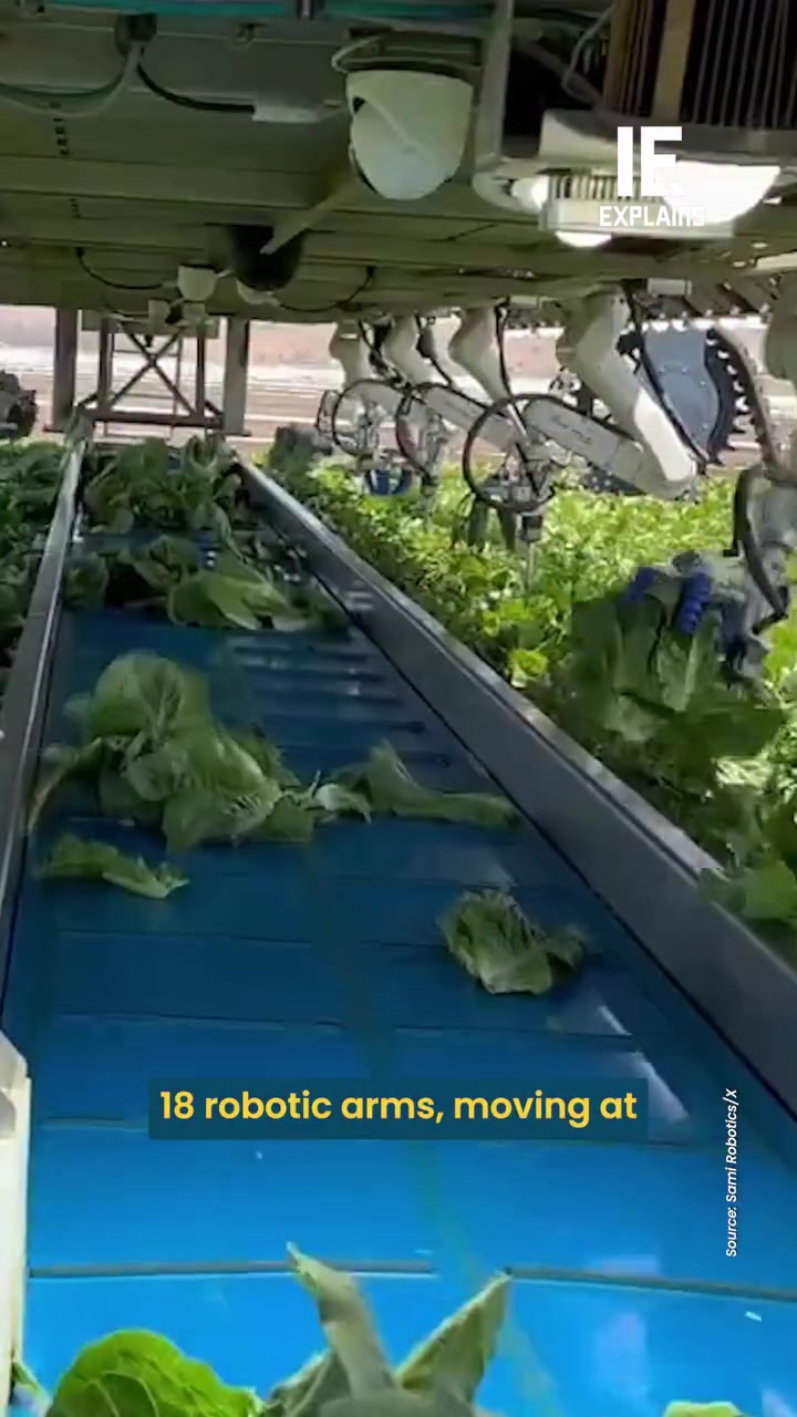 SAMI Robotics' AI-Powered Lettuce Harvesting