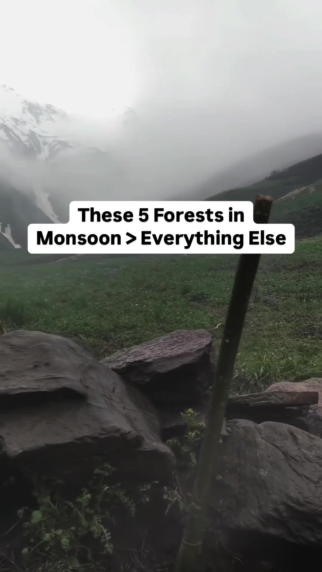 5 Must-Visit Forests during Monsoon Season