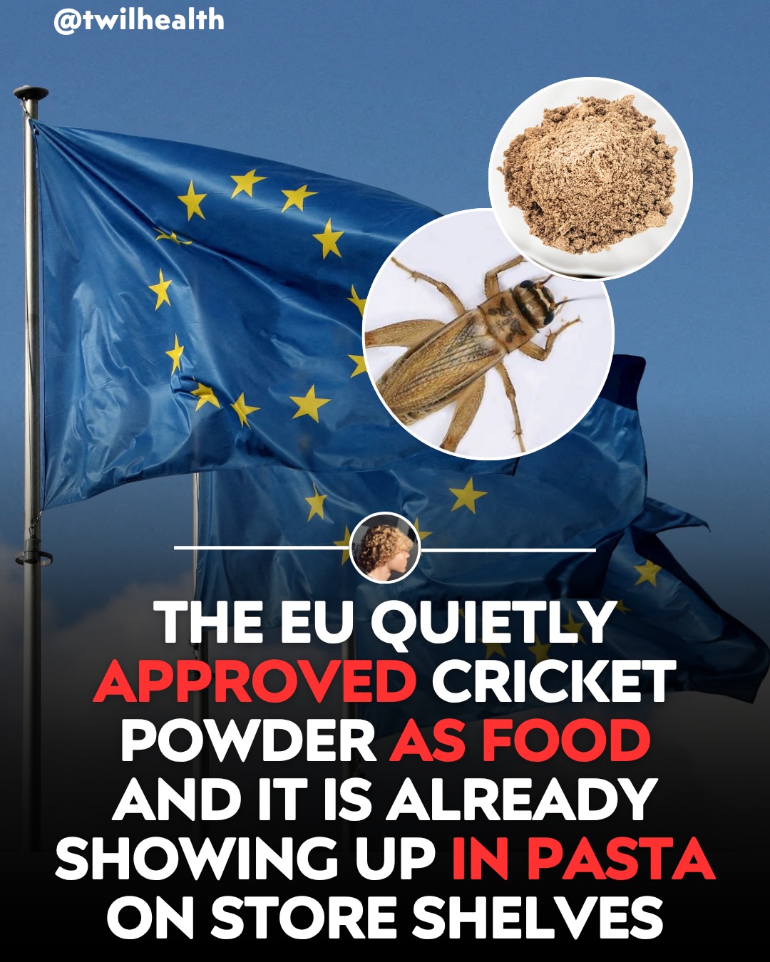 Cricket Powder in Pasta: EU Approval and Industry Trends