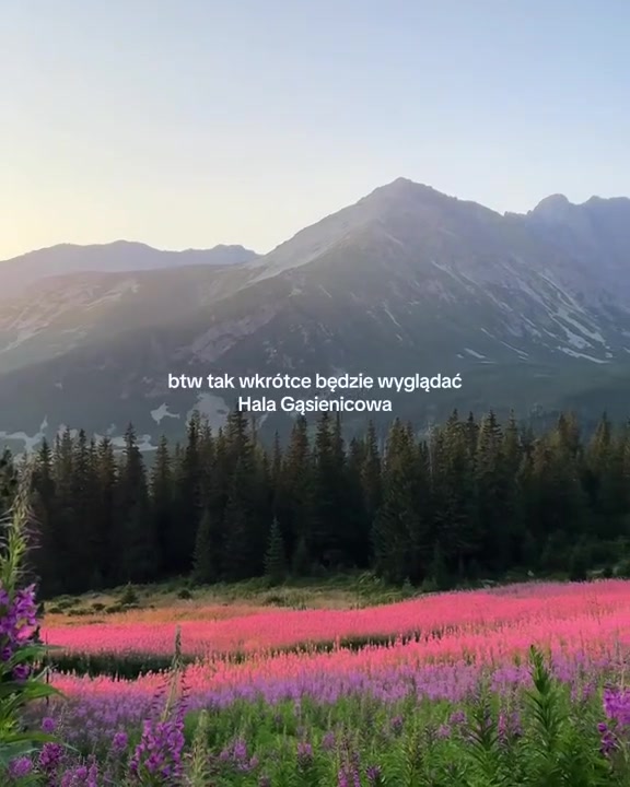Explore the Breathtaking Beauty of Hala Gąsienicowa