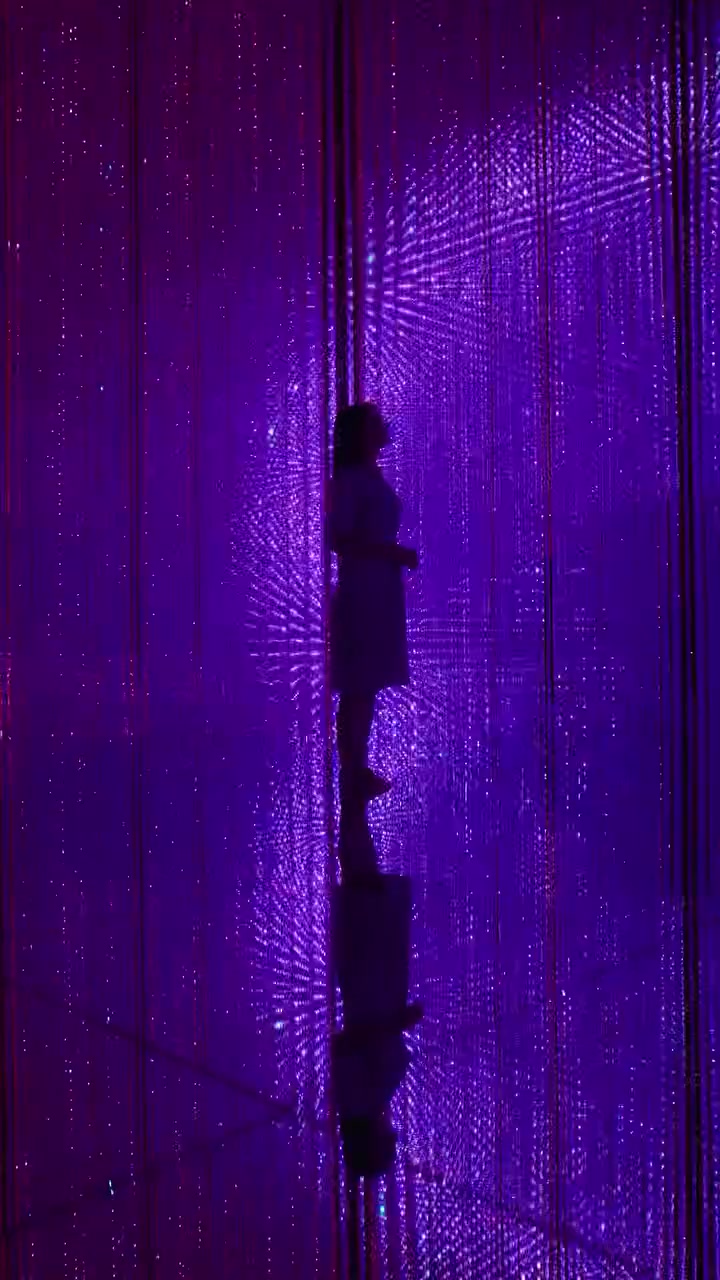 TeamLab Planets Tokyo: Interactive Art Installations