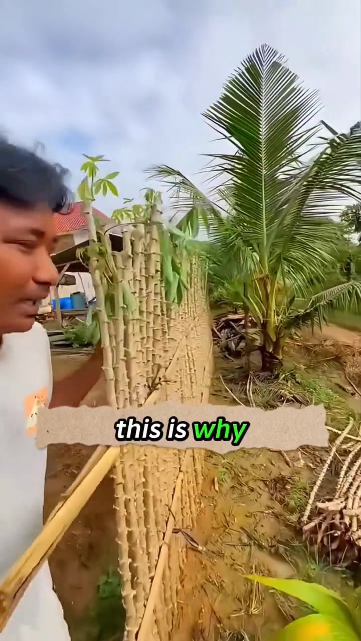 Indonesia's Living Fences: Growing Food and Boundaries