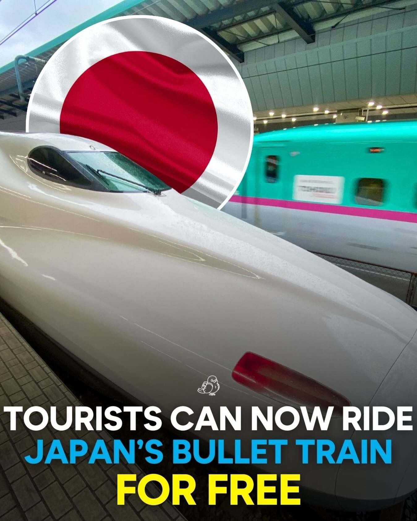 Free Rides on Japan's Bullet Train: Kyushu Tourist Promotion