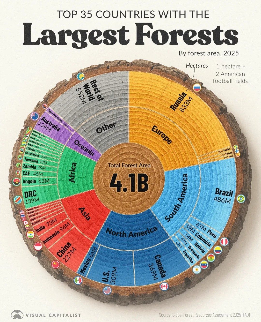 Countries with the Largest Forest Areas in 2025
