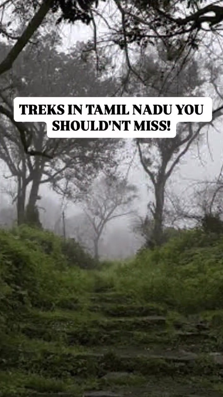 Top Treks in Tamil Nadu: Gudiyam Caves, Baraliyar Ghat