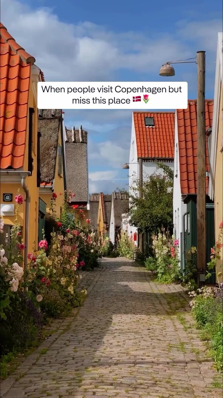 Copenhagen's Hidden Gems: Dragør and Amager Fælled