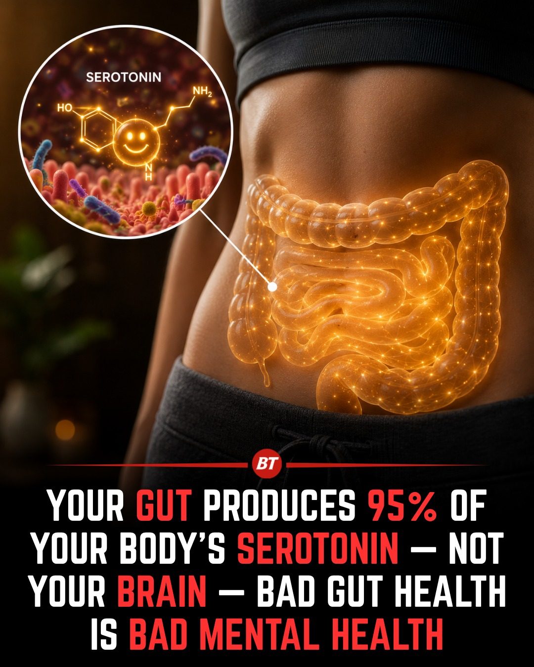 Uncovering the Gut's Role in Mental Health and Serotonin