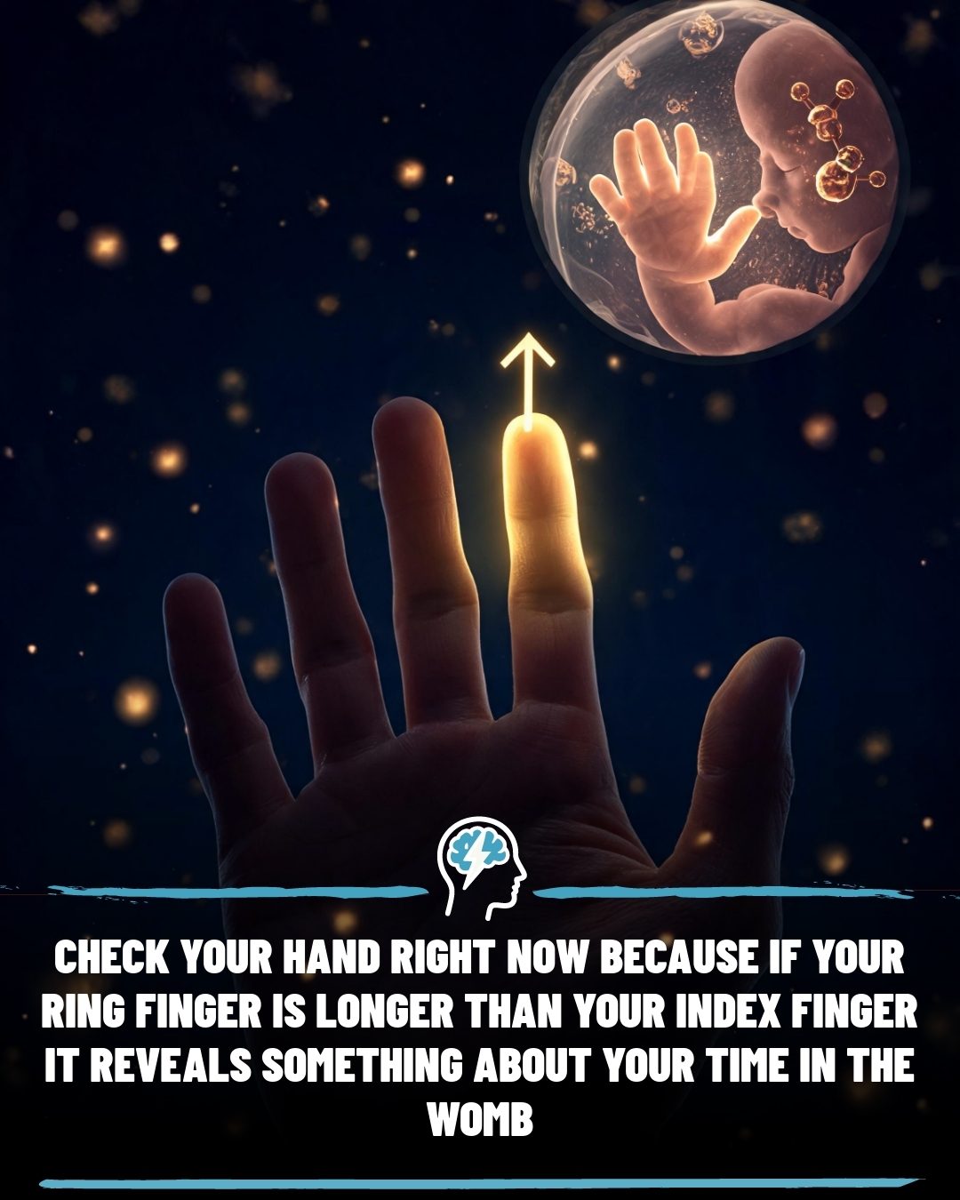 Does Your Finger Length Reveal Your Early Biology?