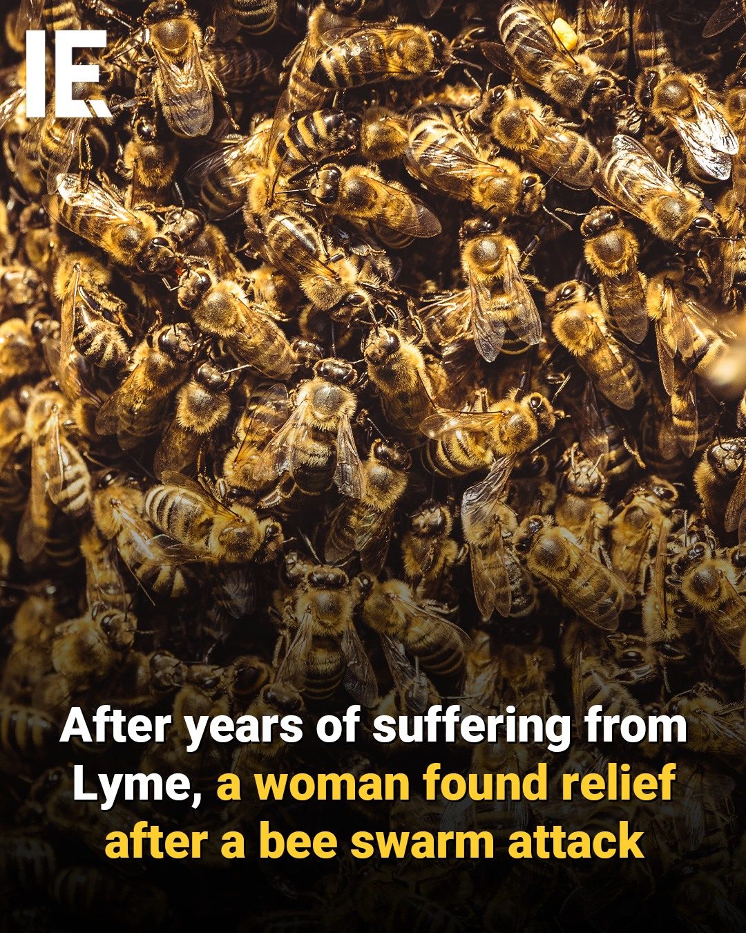 Women's Lyme Disease Relief After Bee Stings