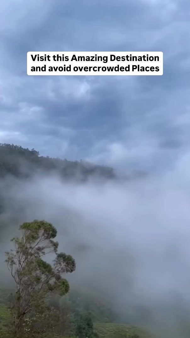 Discover the Serene Beauty of Kinnaka Rai in the Nilgiri Hills