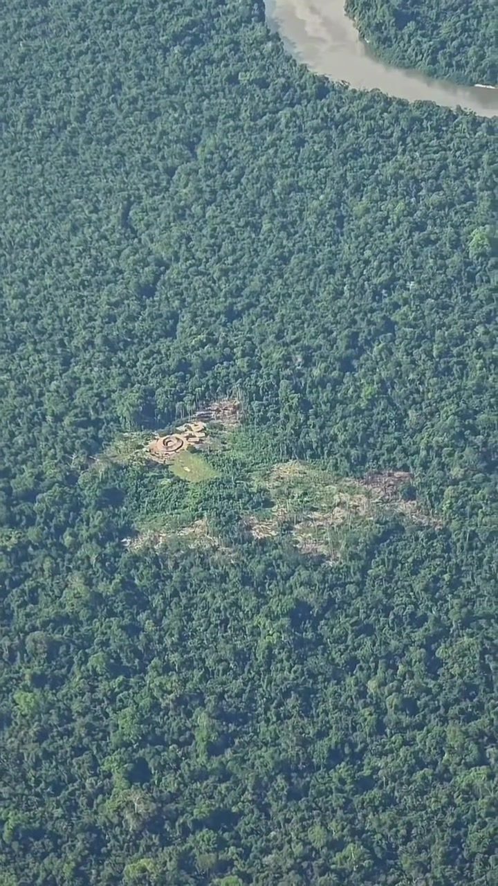 Amazon Rainforest Deforestation: Indigenous Impact