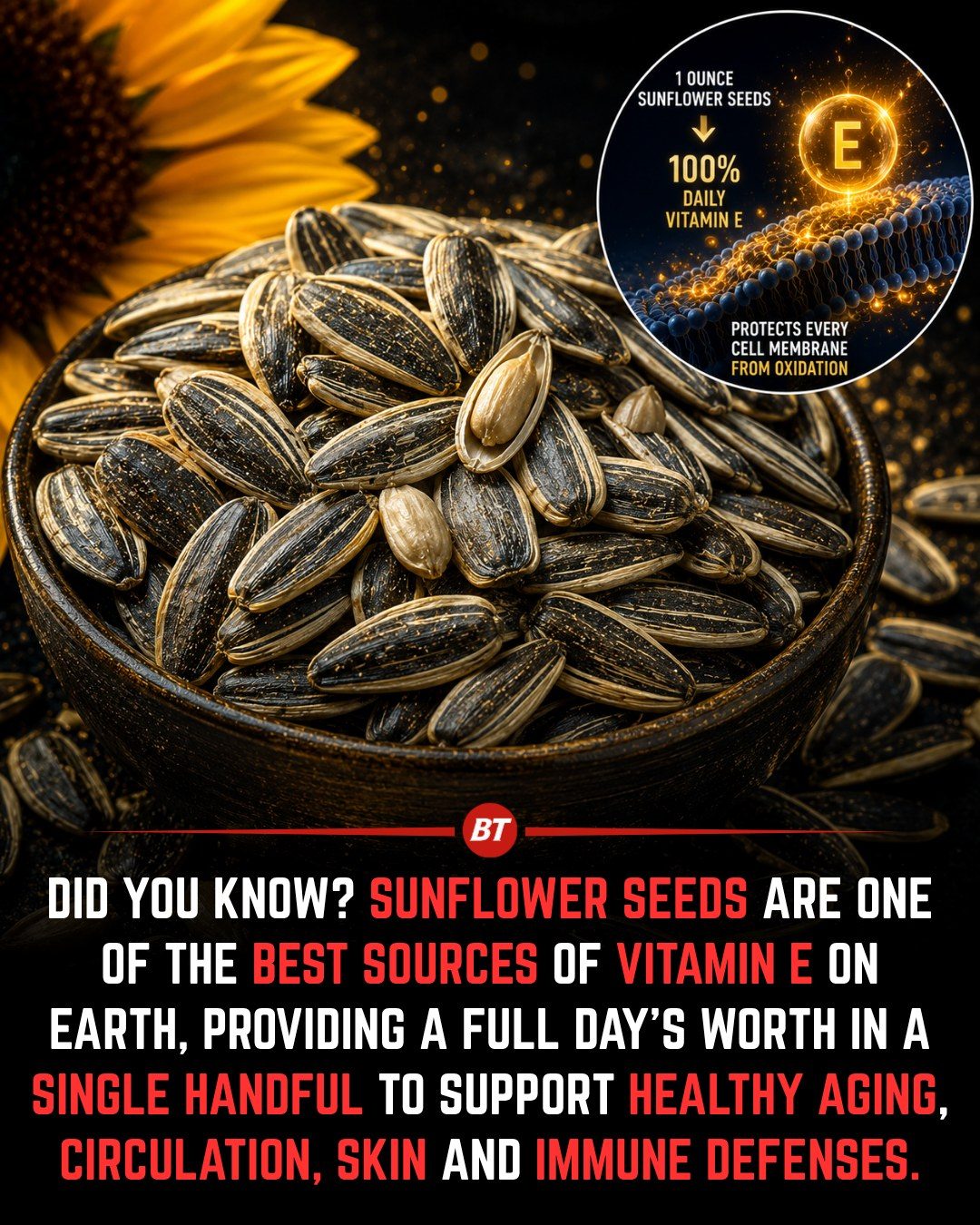 Sunflower Seeds: Vitamin E Powerhouse for Anti-Aging