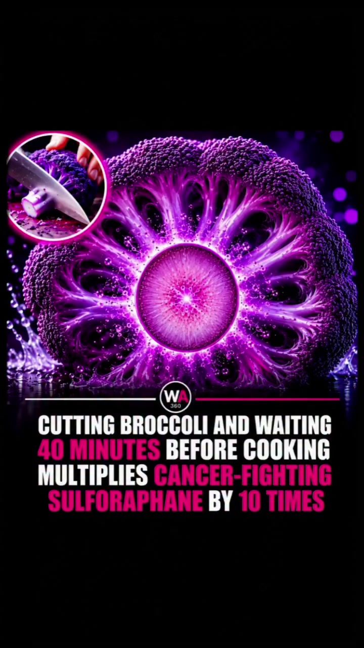 Boost Sulforaphane in Broccoli: The 40 Minute Wait Before Cooking