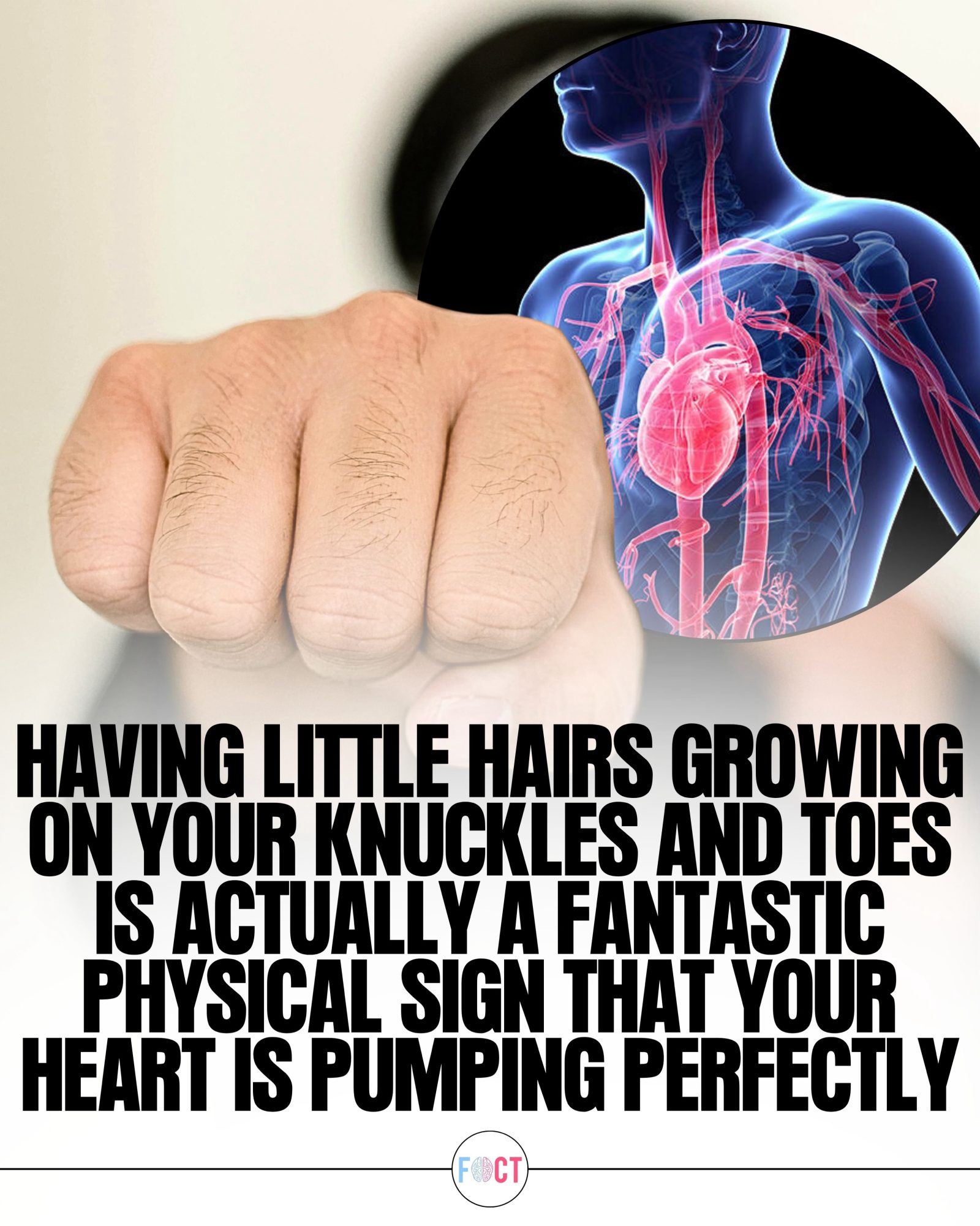 Hair on Knuckles & Toes: Sign of a Healthy Heart?
