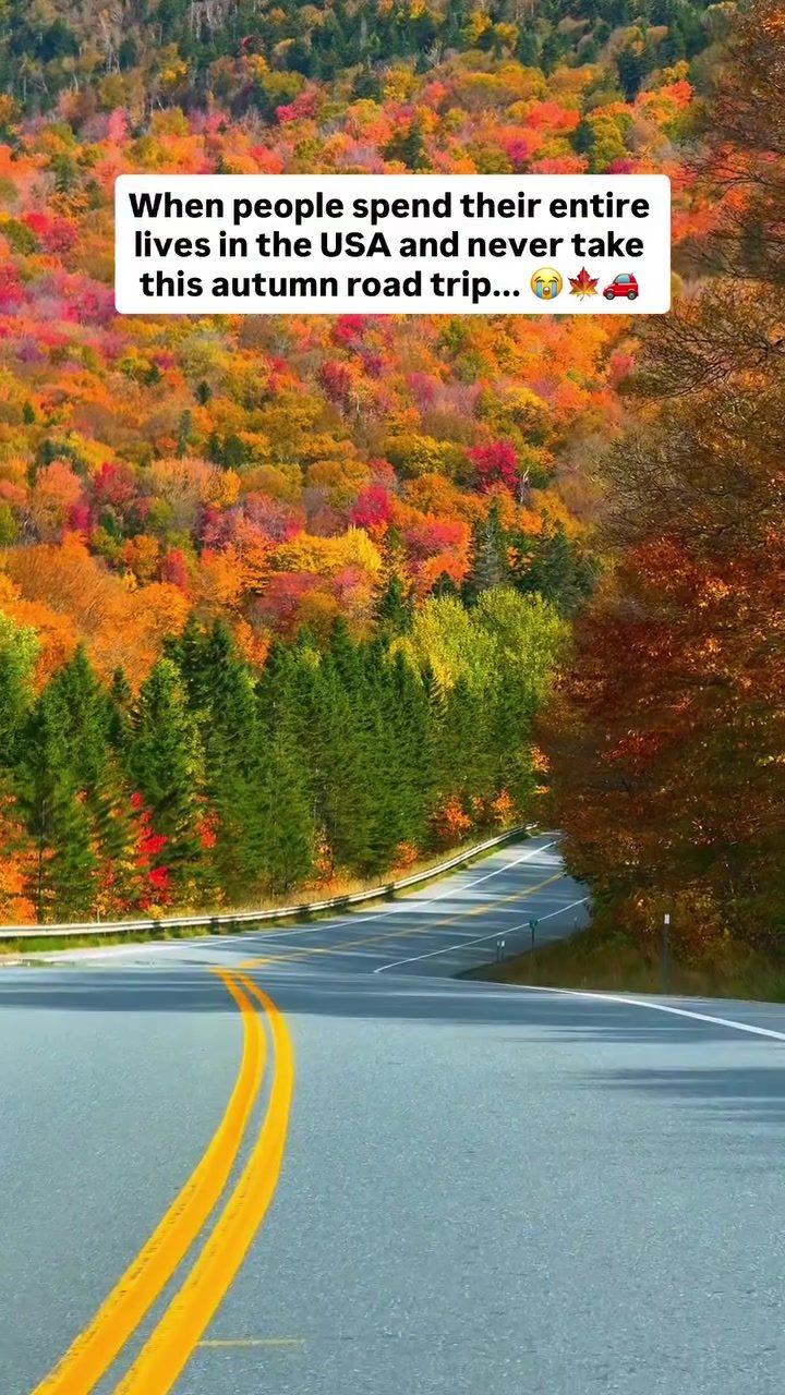 Best Fall Road Trips Through New England's Parks