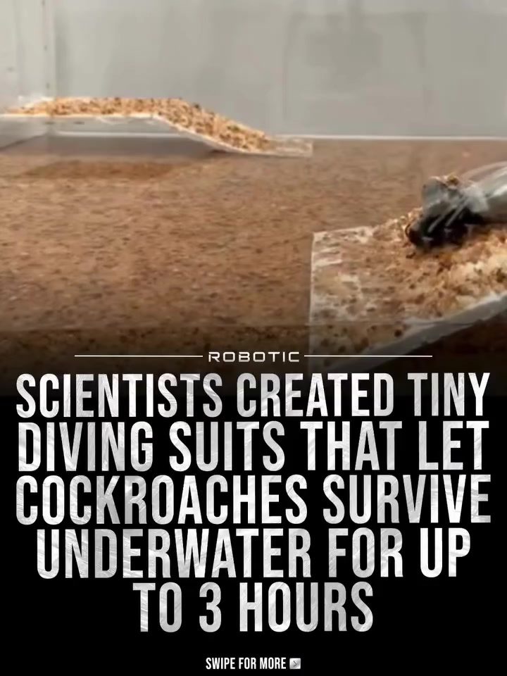 Cyborg Cockroaches: Revolutionizing Disaster Rescue with Tiny Diving Suits