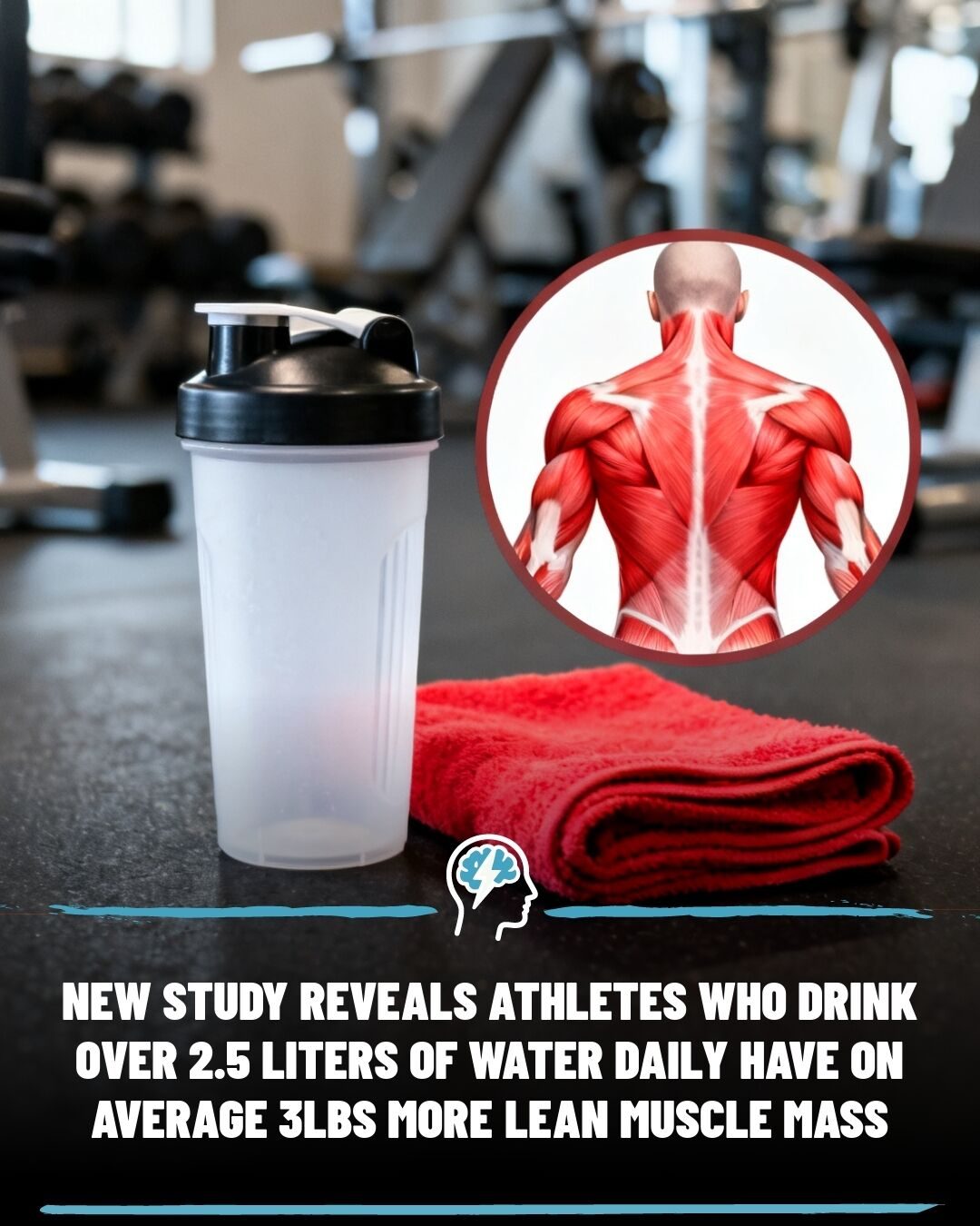 Hydration's Surprising Impact on Muscle Growth in Athletes