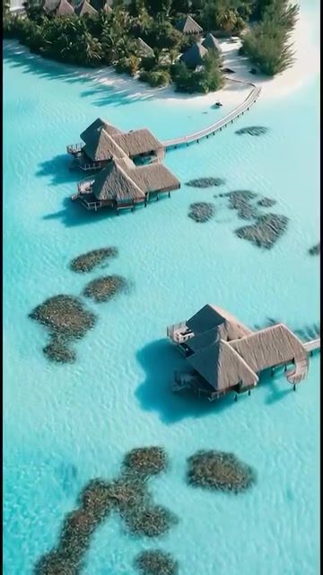 Explore Luxury: Overwater Bungalows, Villas, and Tropical Designs
