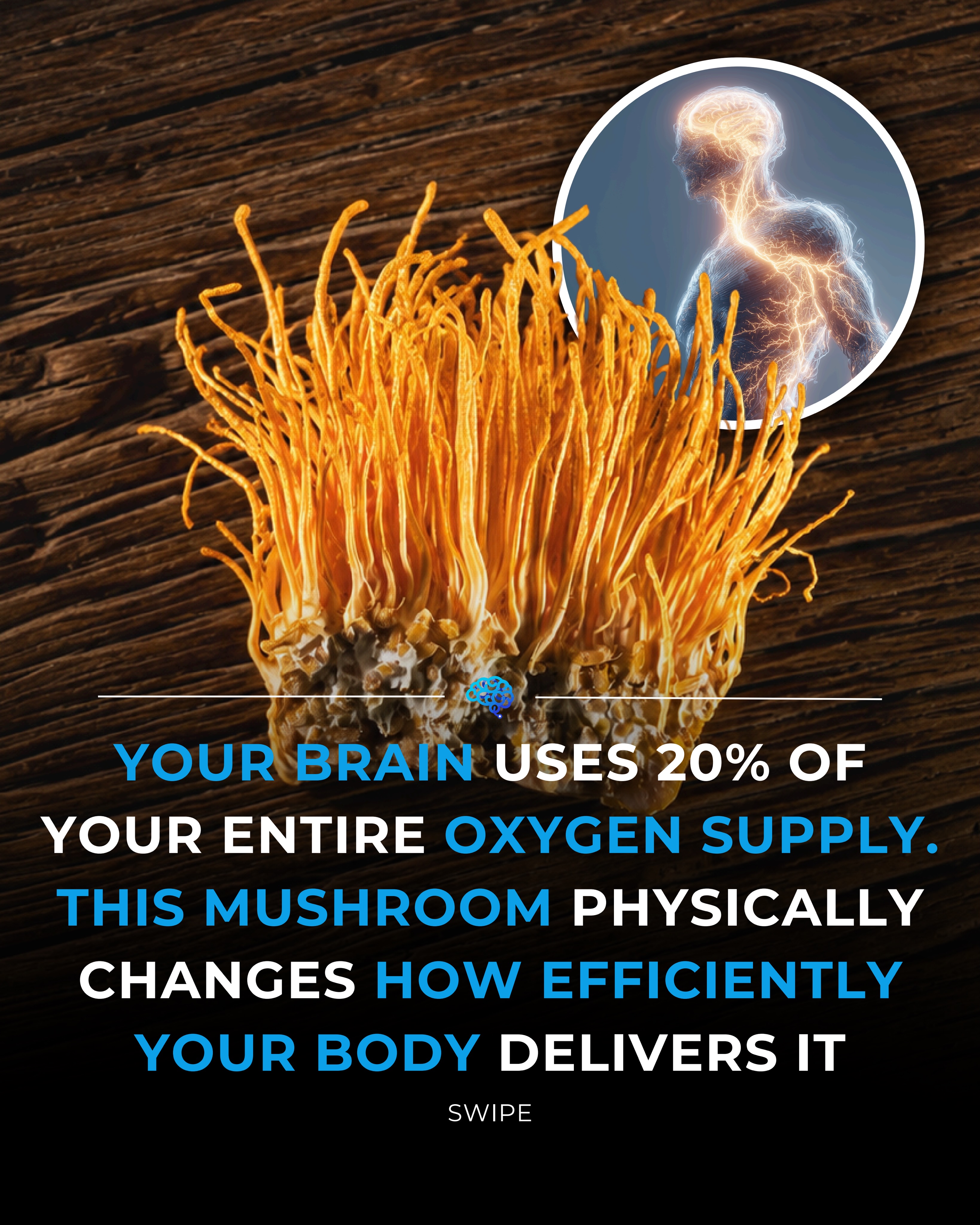 Cordyceps Benefits for Brain Oxygen Supply
