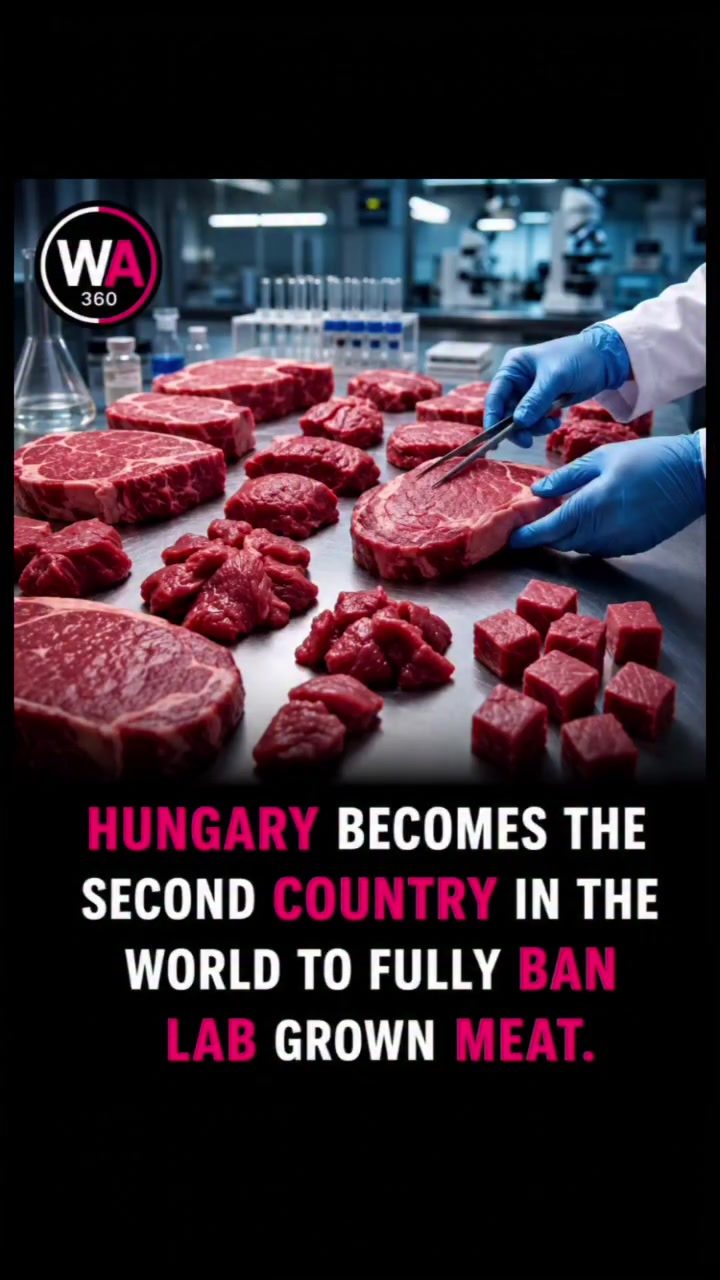 Hungary's Historic Ban on Lab-Grown Meat Sparks Debate