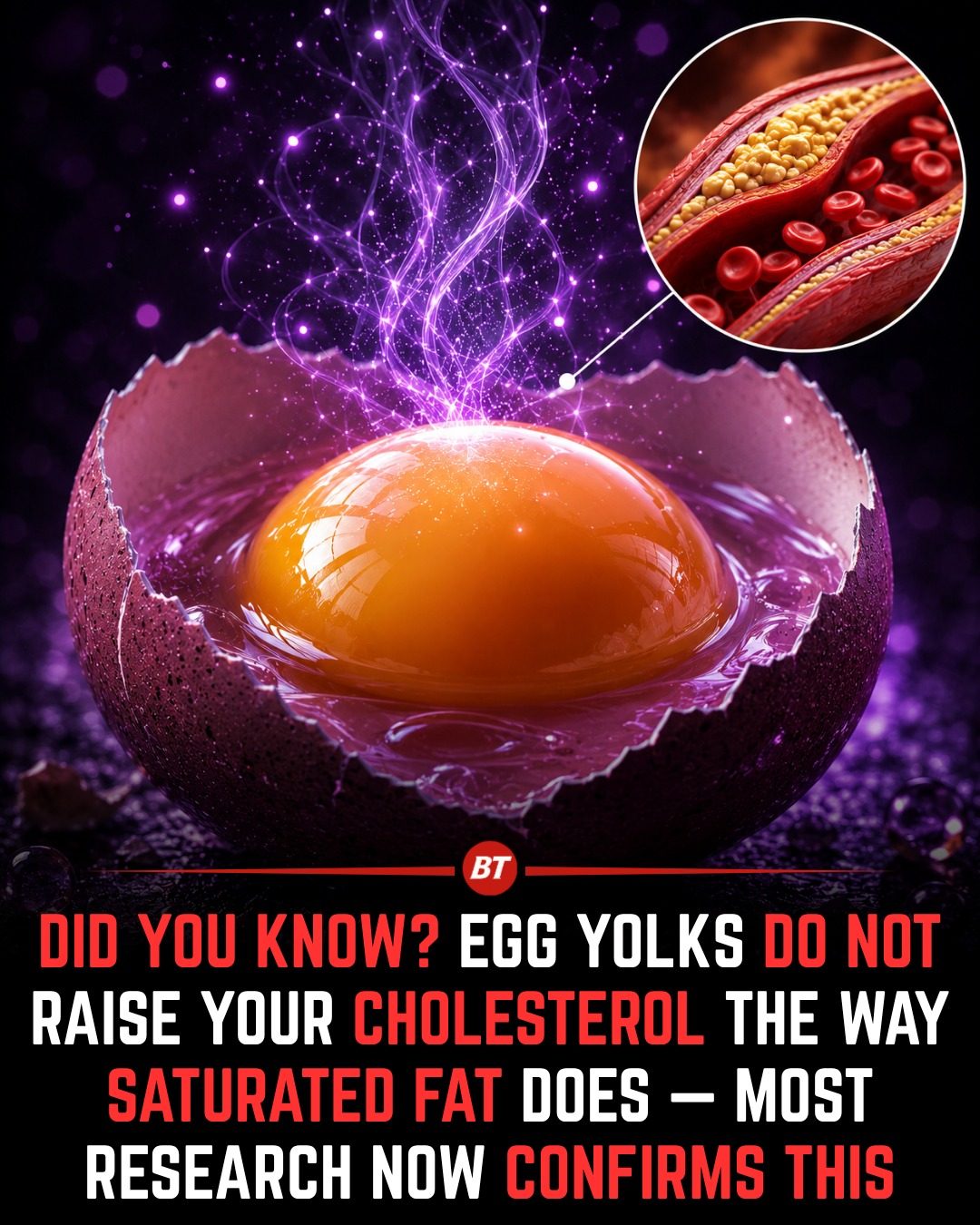 Egg Yolks and Cholesterol: New Insights from Research