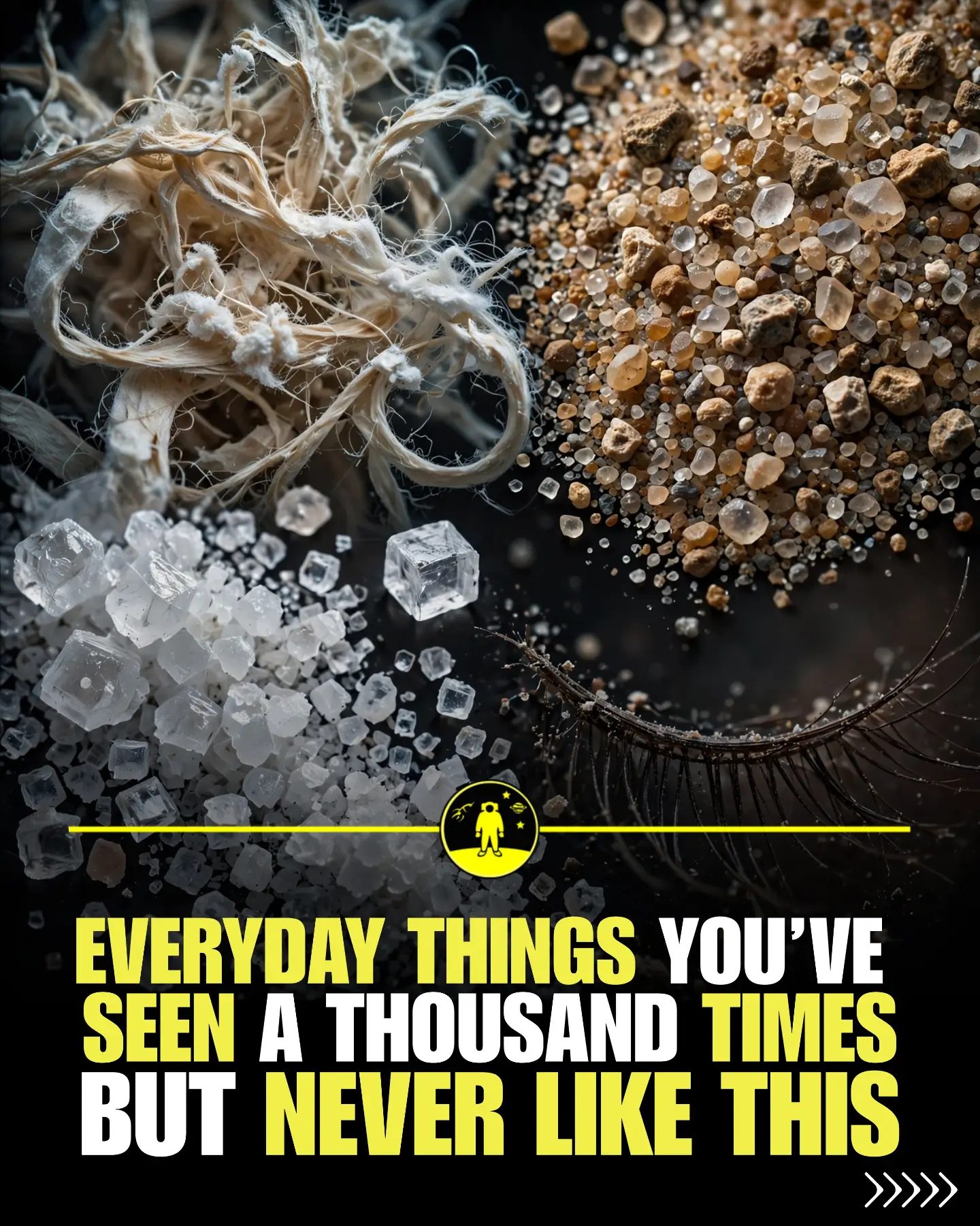 Everyday Objects Under the Microscope