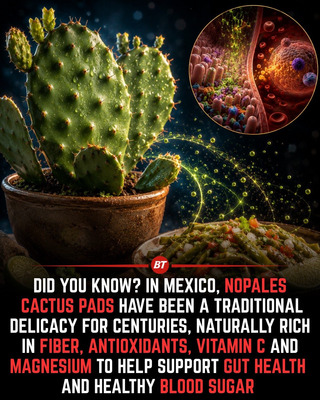 Nopales Health Benefits: Why Mexican Cactus Pads Are Nutritional Powerhouses